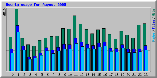 Hourly usage for August 2005