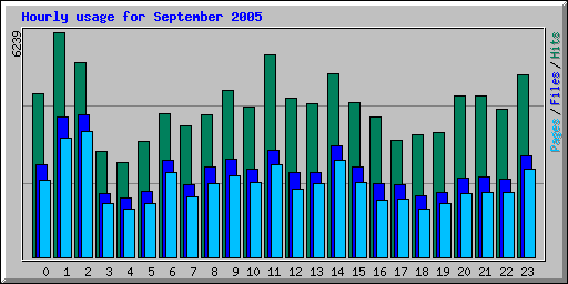 Hourly usage for September 2005