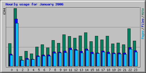 Hourly usage for January 2006